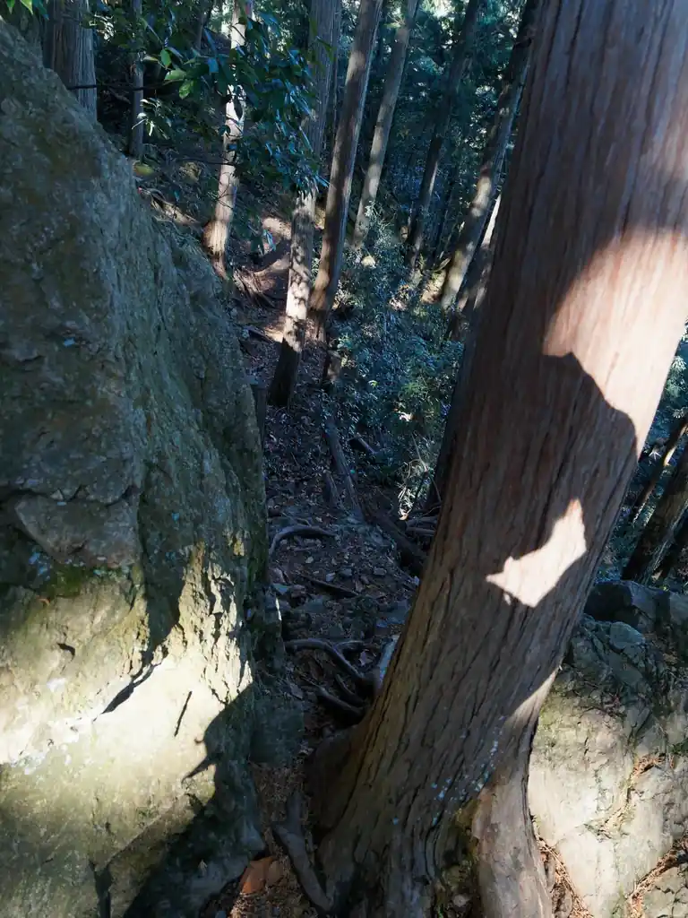 最初の岩場は、巻き道があったので、そこを通過した。
上の巻道の写真は、中央の岩と右の木の間から撮ったものである。