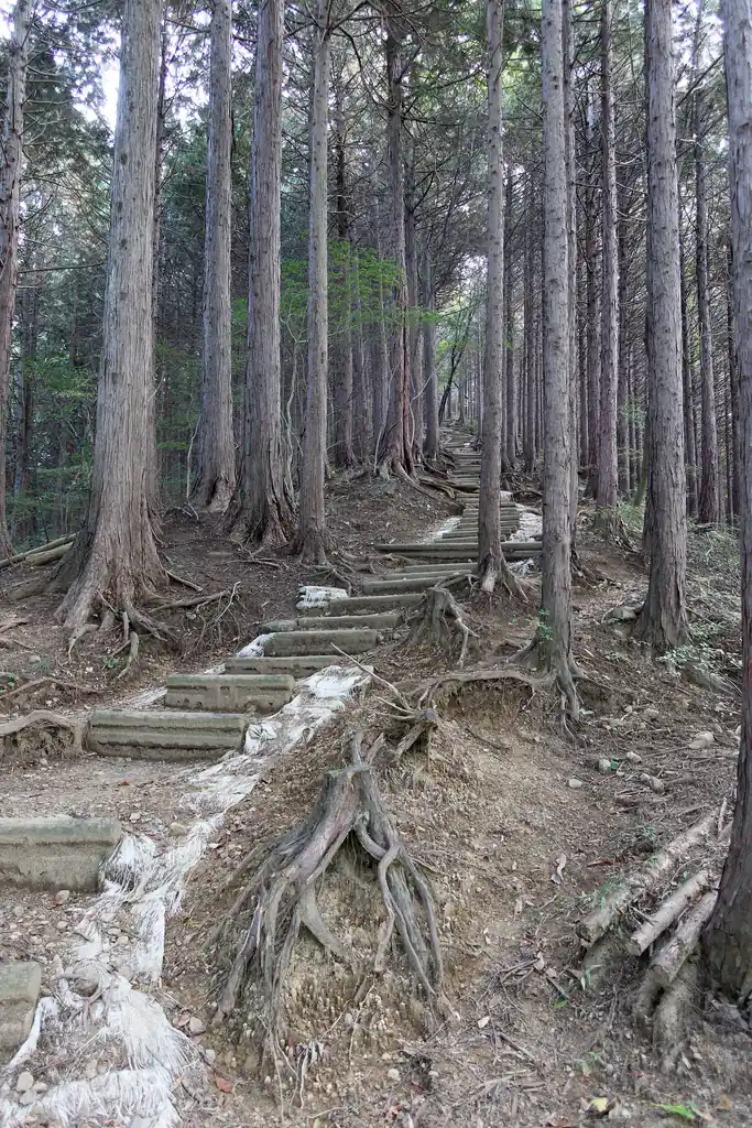 ピークを数個超えると、急に宝登山山頂直下の階段のようなものが現れる。
ここを登り切れば石老山なのだが、これが細かいアップダウンを歩いてきた足にこたえる。