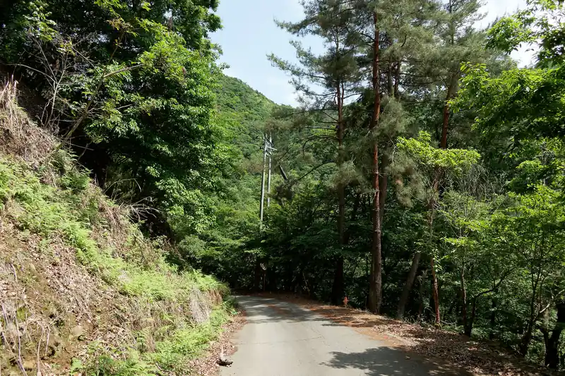 今まで曇り空で鬱蒼としていましたが、ようやく青空が見えてきました。正直そこそこ暑いです。