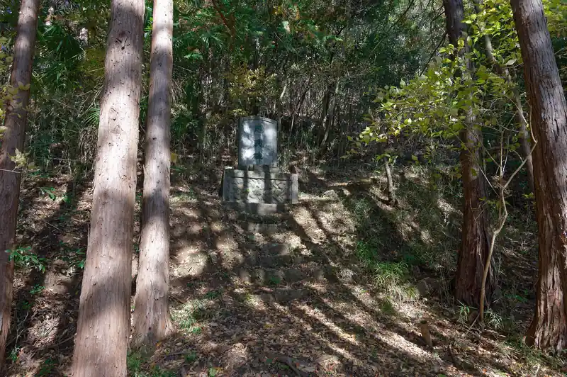 階段を登り切るとまた石標。石標の右から登山道が伸びています。