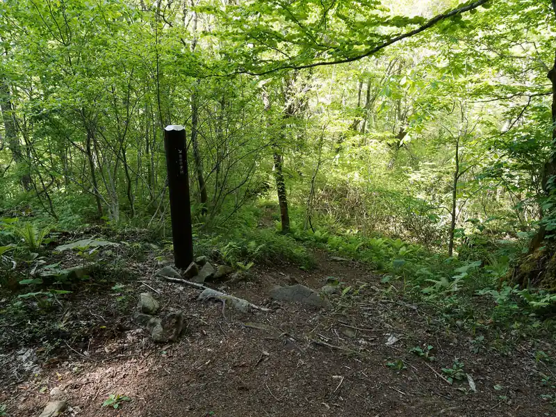ずっと林道を歩いていくと橋があり、そこを少し過ぎたところから登山道へ入る。正直、この道を歩かなくても舗装路を歩いて行っても良いはずなのだが、折角なのでこちらを選択。
途中渡渉したりもするが、全体的に道は明瞭、危険箇所もなく歩きやすいほぼ平坦な登山道が続く。