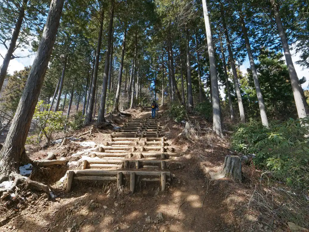日の出山直下までくると延々と続く階段が出現する。
この延々続く階段が確実に体力を消耗させていく。非常につらいところだ。