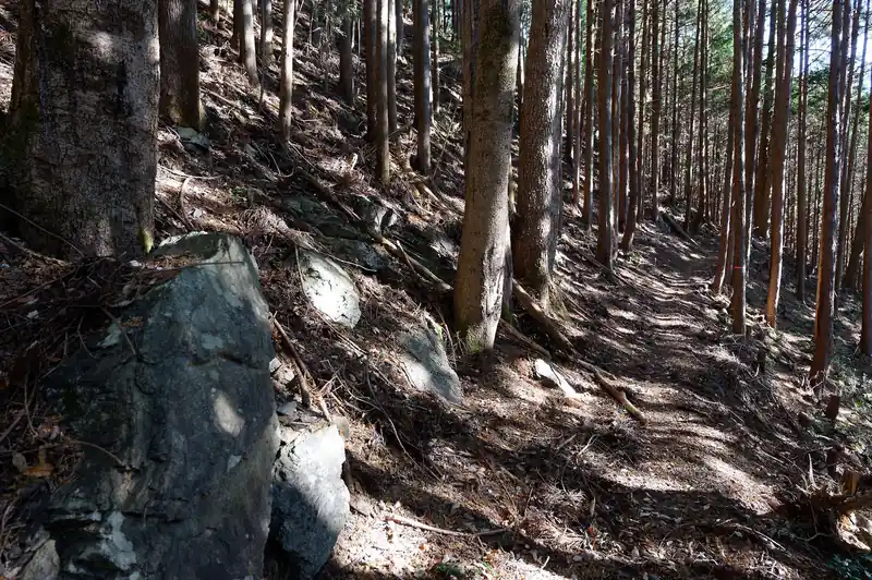 なお、登山道はこんな感じ。写真左側が大岩。