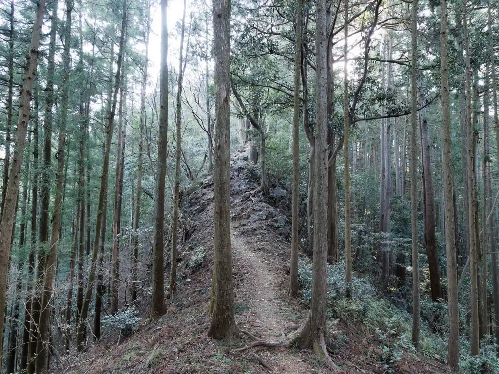 大高山直前の岩場。初めて来たときは緊張したけど…。