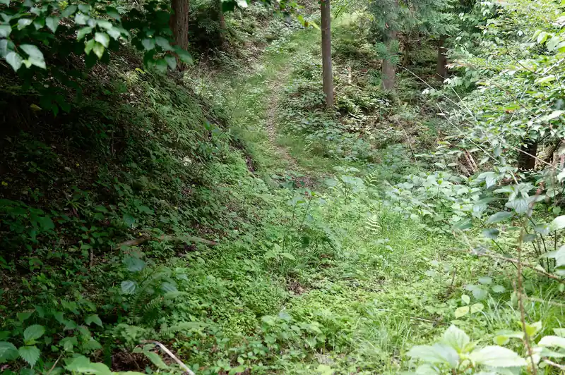途中なんか踏み跡ない？って気になりつつ道を歩いていきます。この林道歩きが地味にながい。