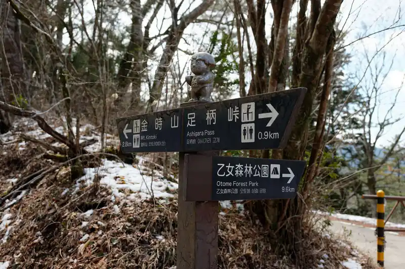 ここで分岐。金時山までまだ2.8km。乙女森林公園にも通じているらしい。