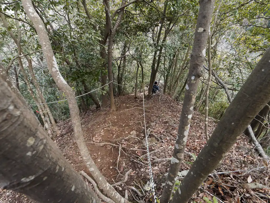 ちょうど先行の登山者が降りて行っていたので、少し間を開けて降りていく。うーむ、確かに上から見る感じかなりやばい道だ。
坂、というよりもはや崖に近い。
とはいえ、ご覧のようにロープが両サイドに張り巡らされておりアブナイ感じはしない。
これだけロープがあれば、ロープを頼りに慎重に降っていけばなんてことないはずだ。