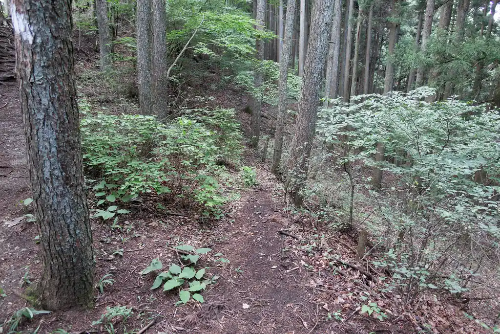 たぶん笛吹バス停に降りる道。