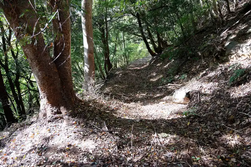 南側は謎の踏み跡。
昔の峠道と思われるのですが、いまだ現役なのだろうか？
ずっと気になっている道なんですが、少なくとも登山者が歩いた記録は見つからず。
ただこの感じだと、普通に歩けそうな感じもするなあ、と思います。機会があれば歩いてみたい。