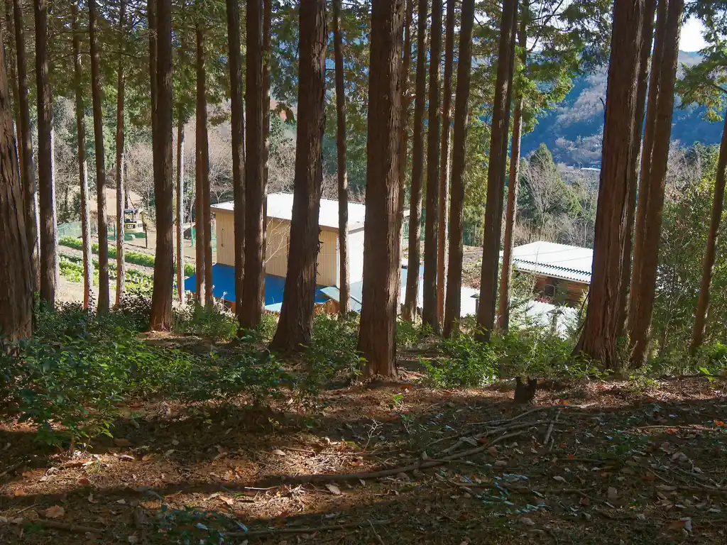 民家らしき建物が見えてきた。