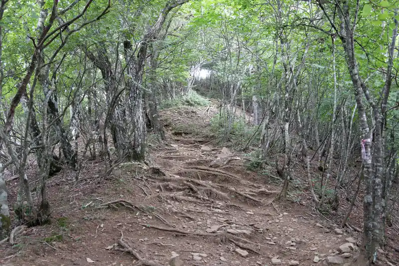 そのまま少し登っていって山頂手前。ここは若干急登で岩っぽい。