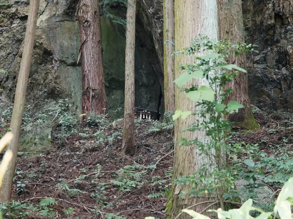 ところで、このあたりは結構な巨石がゴロゴロしている。
横瀬丸山南東尾根コースを歩く分には歩きやすい、露岩も一切ない道が続いているものの、大野峠から赤谷の集落へ下る沢沿いの道を歩いていると周囲には巨石がゴロゴロしているのがわかる。
このあたりも少し山の方を見ると巨石があって、その巨石の付け根には祠が祀られていた。