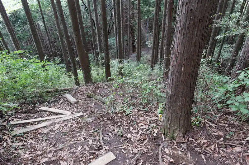 そのまま下って行くと林道らしき道路が見えてきました。
しかも電柱まで見える。