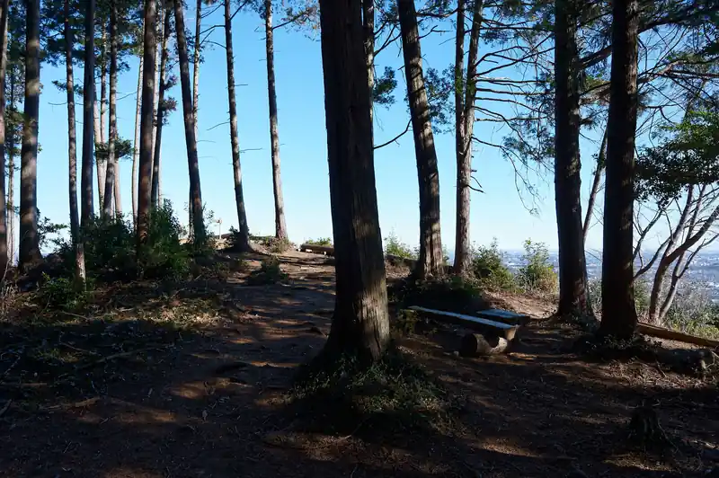 少し登り返して西山高取に到着。
時間的に登山者多いかな、と思っていたのだが、全く人おらず。大高取山よりこちらのほうが眺めが良いんですが、意外です。

というか、前来たときより伐採されて更に眺めが良くなっている気が…。
